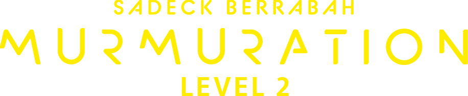 Murmuration Level 2